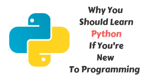 Why You Should Learn Python If You’re New To Programming