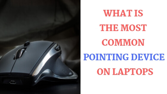 Most Common Pointing Device for Laptops
